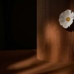 White flower against a textured brown background, symbolizing growth and explaining how does trauma-focused therapy work.