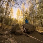 Person sitting on a rock in a peaceful autumn forest, symbolizing self-reflection and explaining how does therapy work for trauma.