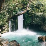  Before and after emotional journey visualization, EMDR results, Virginia, trauma healing transformation, Arlington, VA