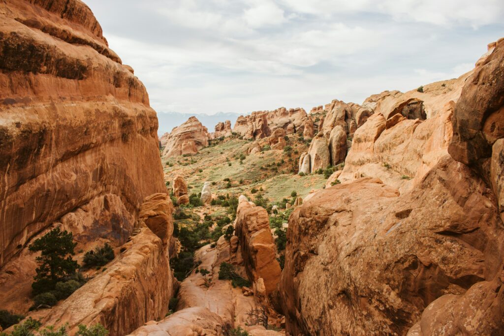 Rocky terrain with distant mountains and scattered vegetation, showing stability, grounding, and strength within a natural landscape