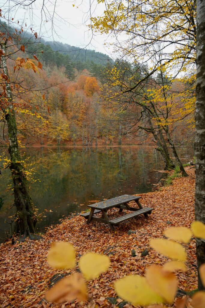  Calm therapeutic workspace showing EMDR setup, EMDR process, Virginia, trauma therapy tool, Arlington, healing journey