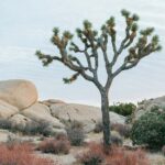  Emotional journey from struggle to healing, EMDR results, Arlington, VA, trauma healing transformation, Courthouse