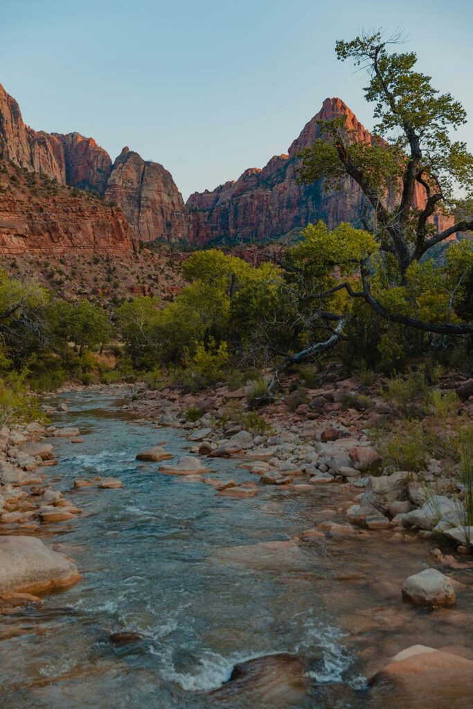 Peaceful somatic therapy session, Virginia, gentle body-based work, trauma processing, nervous system regulation