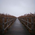 The bridge stretches forward with grass on both sides, creating a sense of transition, movement, and connection across open land