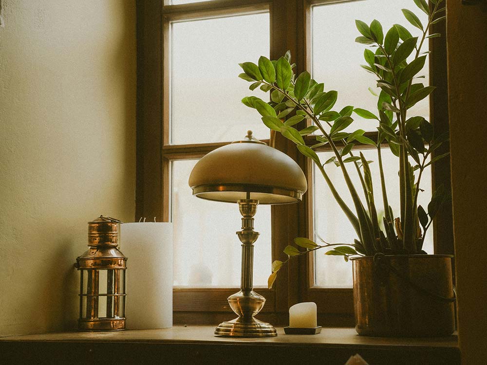 Table with potted plant and soft lamp light, minimalist interior creating a calm and welcoming atmosphere