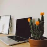 Minimalist table with cactus plant and open laptop, clean workspace suggesting focus and simplicity