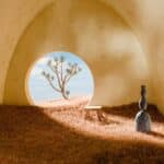  Small burrow in the ground surrounded by grass, a quiet, hidden space in nature that feels simple, grounded, and undisturbed